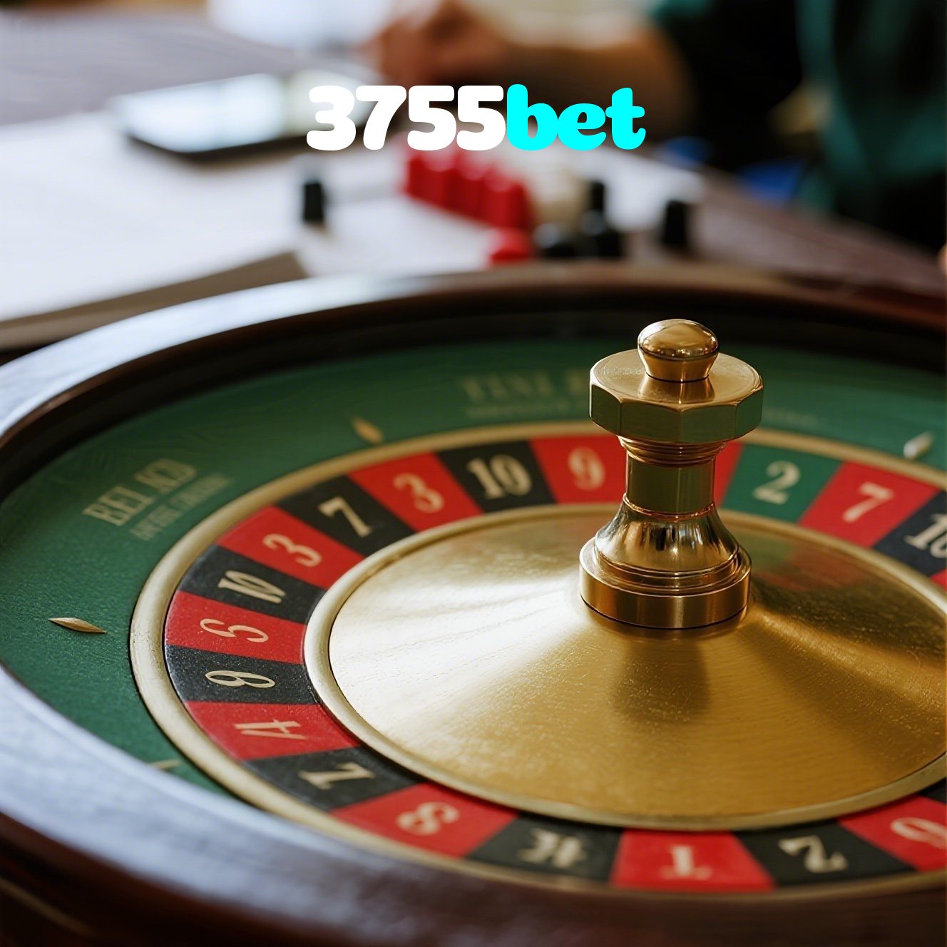 3755bet visual